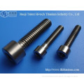 Titanium fasteners